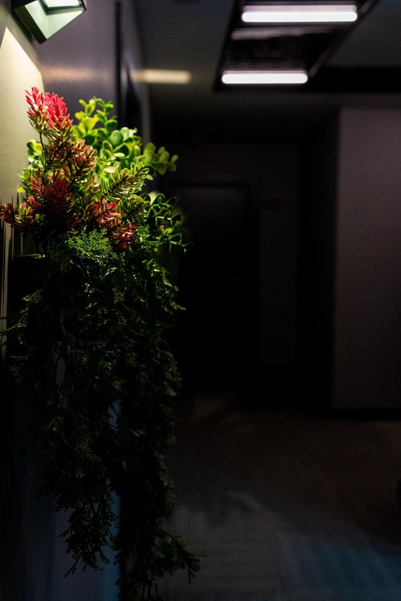 Brandroom Hotel Istanbul Eksteriør billede