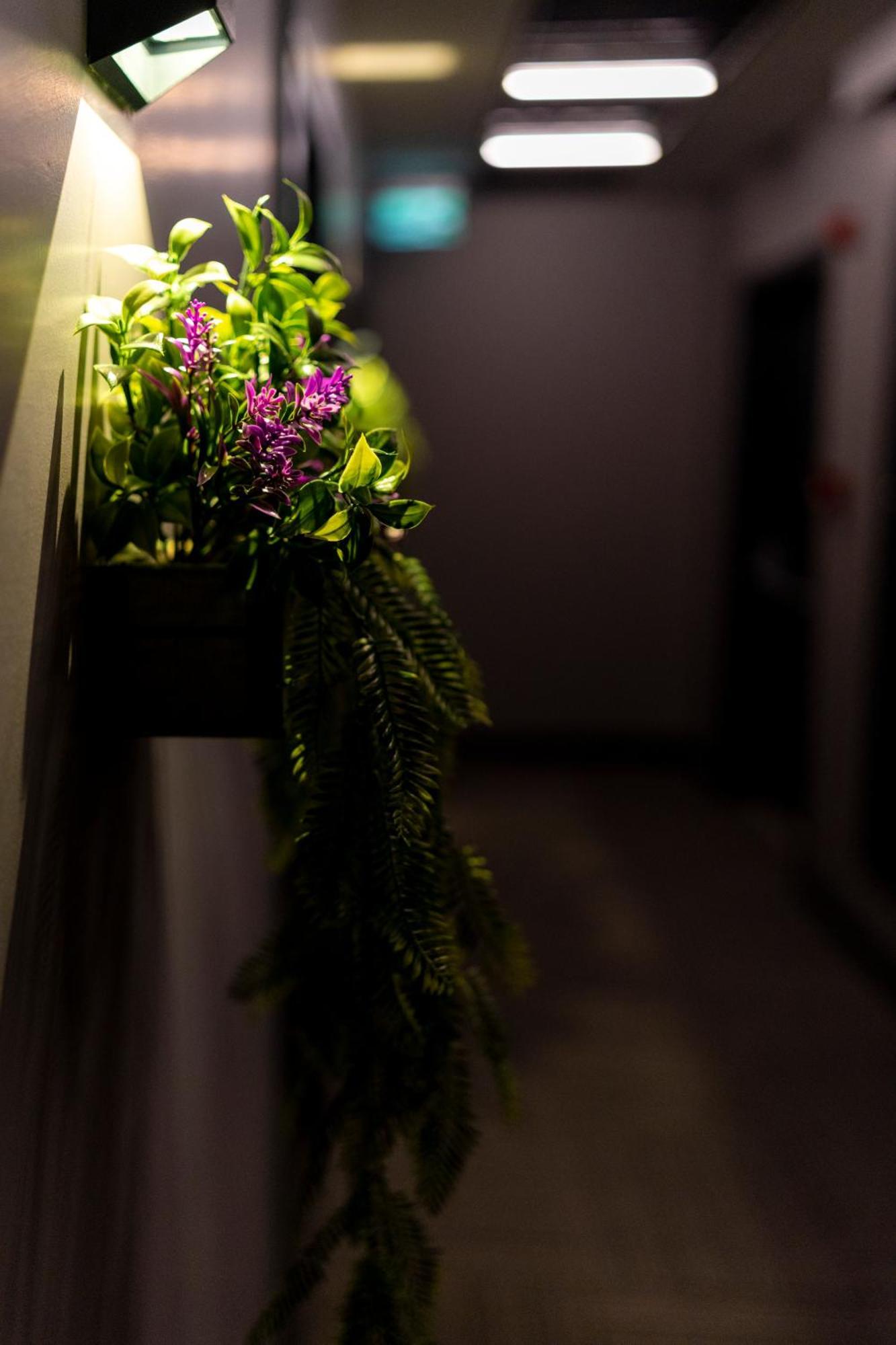 Brandroom Hotel Istanbul Eksteriør billede